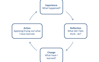 Using Reflection to Become a Learning Machine – 15