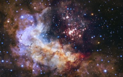 Are You The Creator of Your Own Life? – 28