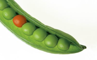 It Is Good To Be Different – 43